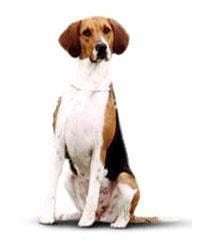 large_44d04a4c-e939-4cf6-bc4a-bbcdc429f6bf