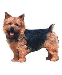 large_ac0c18f3-c0ab-4e57-9b11-abb82e9cceb7