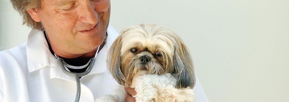 large_alles-wat-je-moet-wet