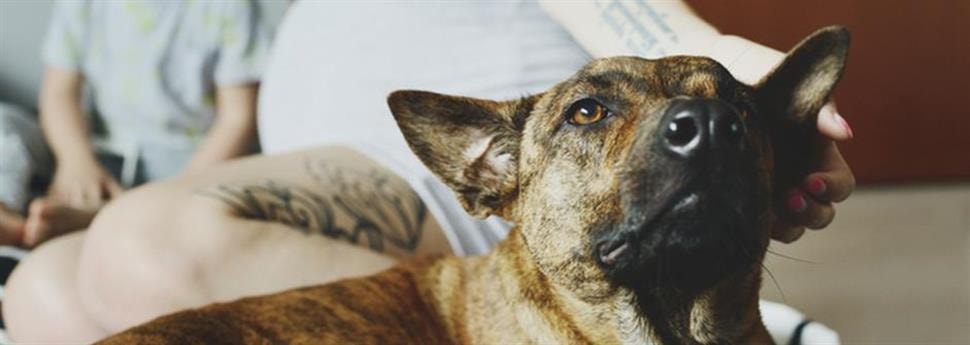 large_verzlargeing-van-de-gewrichten