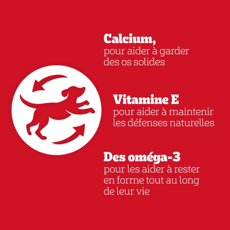 PEDIGREE® JUMBONE™ Snacks pour Chien Pochette Mini avec Volaille et Agneau 4 pièces image 1