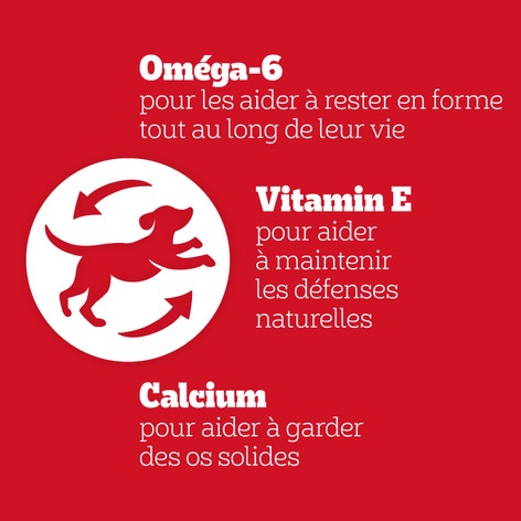 Pedigree® Schmackos ™ Snack pour chien Megabox Multi mix 22 pièces image 1