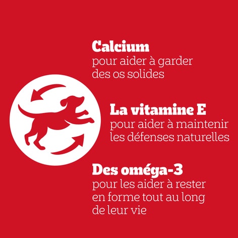 PEDIGREE Biscrok Biscuits 3 variétés pour chien 500g image 1