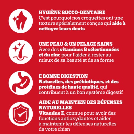 PEDIGREE® Sachet Adulte au Bœuf et aux Légumes 3x3kg image 1