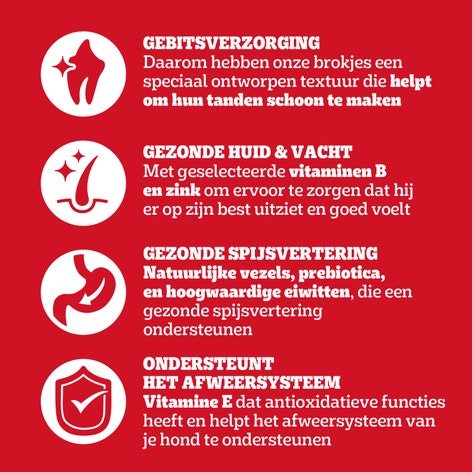 PEDIGREE® Zakje Adult met Vis en Groenten 12kg image 1