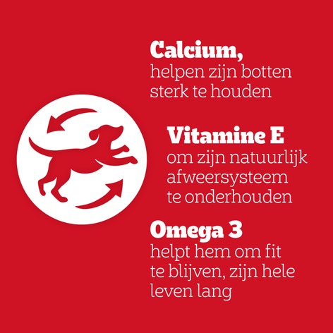 PEDIGREE® Mega Box Snacks met RODEO™ Duos Kip en Bacon Smaak en JUMBONE™ Mega Bot Rund en Gevogelte Smaak 780g image 1