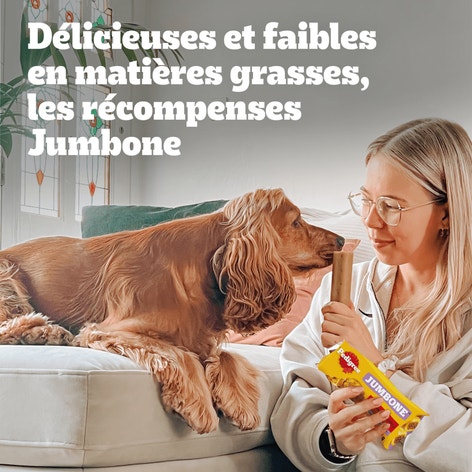PEDIGREE JUMBONE MEDIUM Boeuf et Volaille 180g image 1