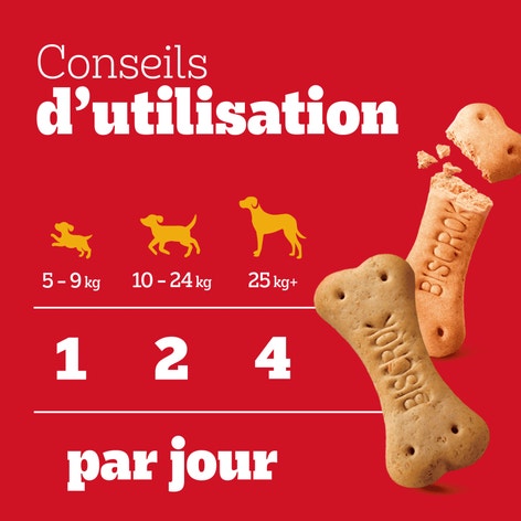 PEDIGREE Biscrok Biscuits 3 variétés pour chien 500g image 1