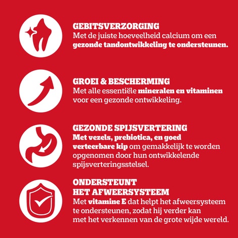 Pedigree® met kip en rijst voor junior honden 3kg image 1