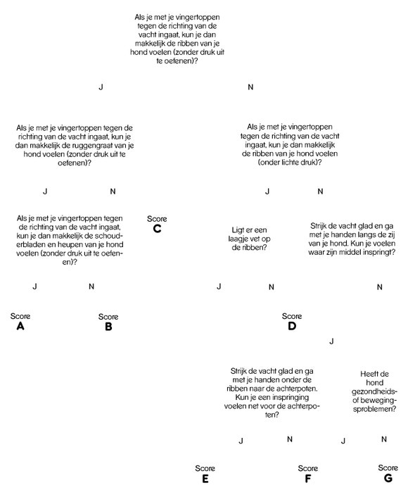 healty-weight-management