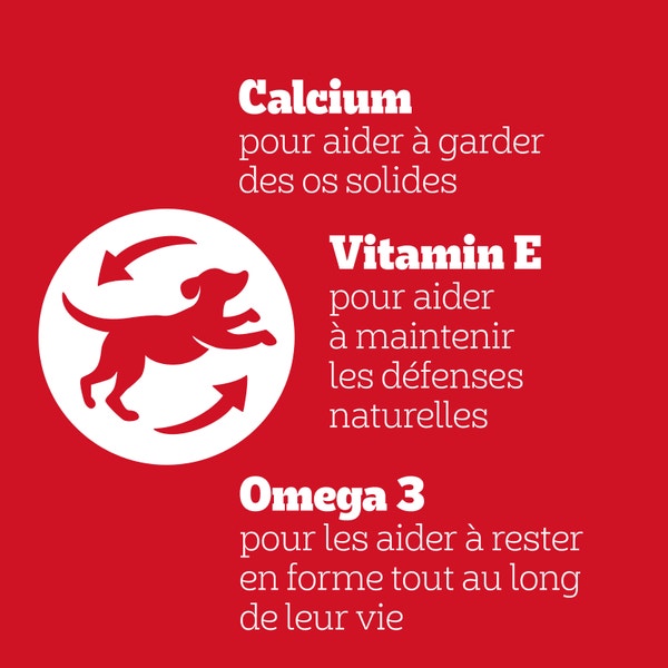 PEDIGREE Markies Biscuits fourrés pour chien 500g image 3