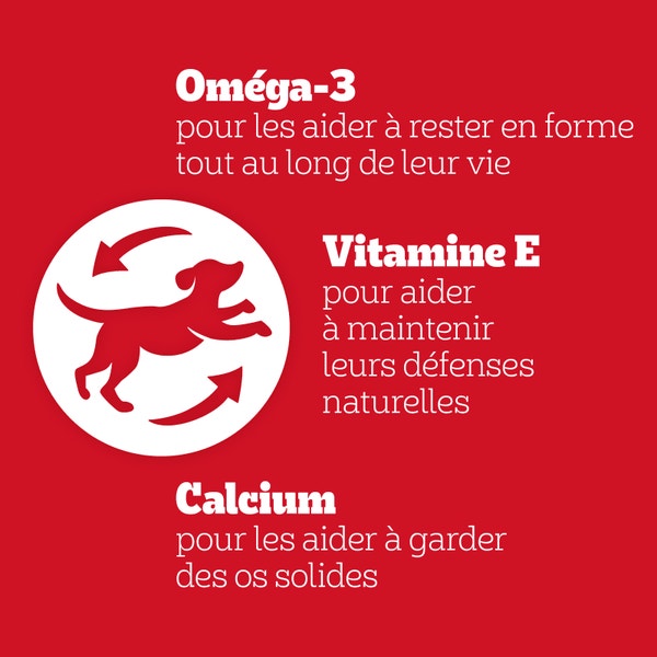 PEDIGREE® Mega Box Snacks avec RODEO™ Duos saveur Poulet et Bacon et JUMBONE™ Maxi Os saveur Bœuf et Volaille 780g image 3