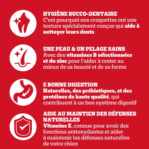 PEDIGREE® Sachet Adulte au Bœuf et aux Légumes 3x3kg image 3