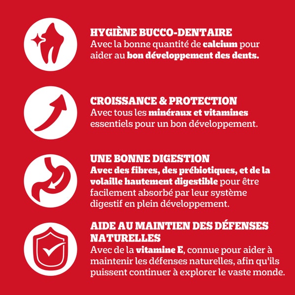 Pedigree® Croquettes À la Volaille et Aux Légumes Pour Chien Junior 3kg image 3