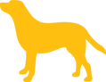 Pedigree® Large Dog