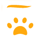 bag-icon