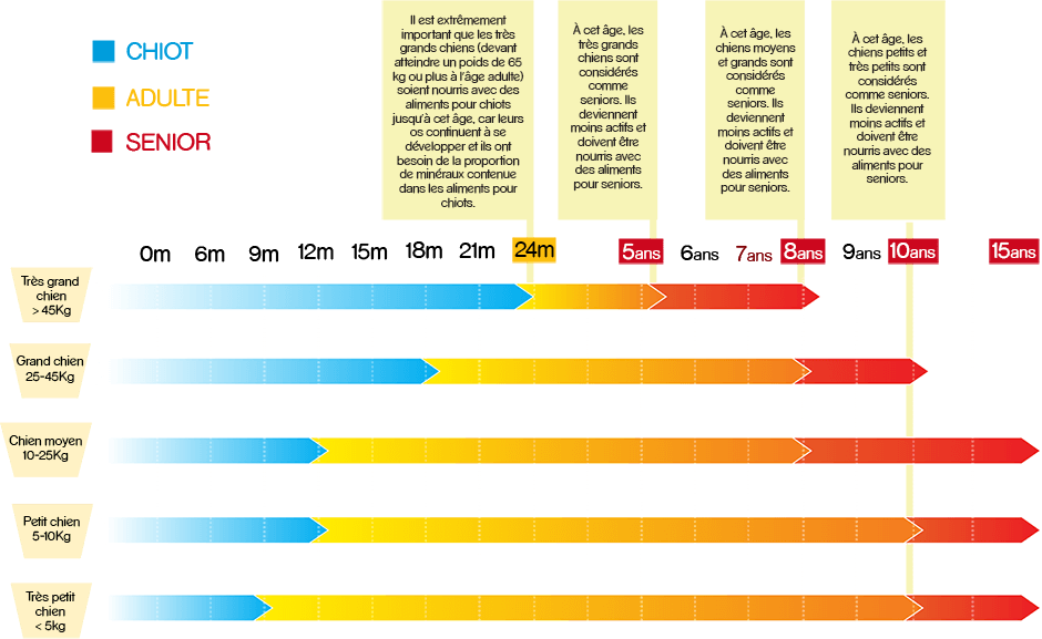 Guide D’alimentation Pedigree